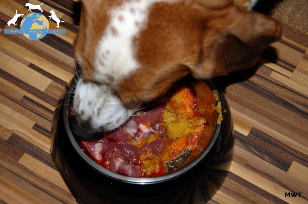 BARF Rohfütterung für Hunde richtig gemacht Ernährung Hund