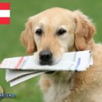 Planet Hund News Österreich