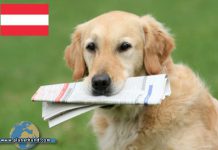 Planet Hund News Österreich