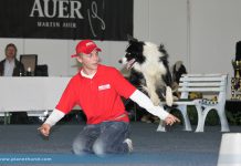 Lukas & Falco: Hundeausstellung Graz 2013 - Sonntag