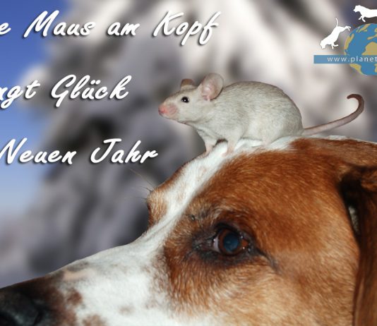 Silvesterspruch