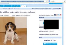 Welpenhandel Online Inserate