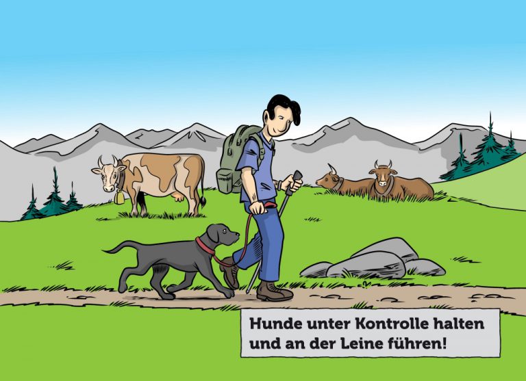 Sachkundenachweis Niedersachsen Testfragen für den Hundeführerschein