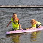 Wasserrettung Hund