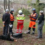 ASB Berlin IRO Rettungshunde