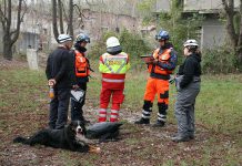 ASB Berlin IRO Rettungshunde