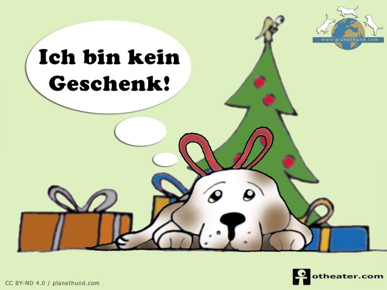 Keine Tiere Zu Weihnachten Schenken! | Tierschutz | Planet Hund