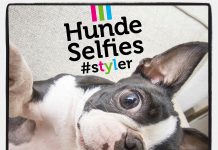 Hunde Selfies Hundebuch