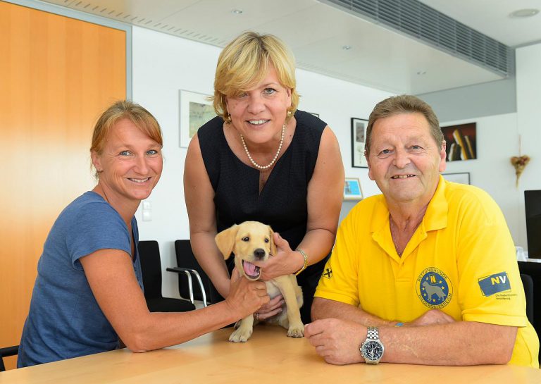 Demenz beim Hund Symptome und Behandlung Hund