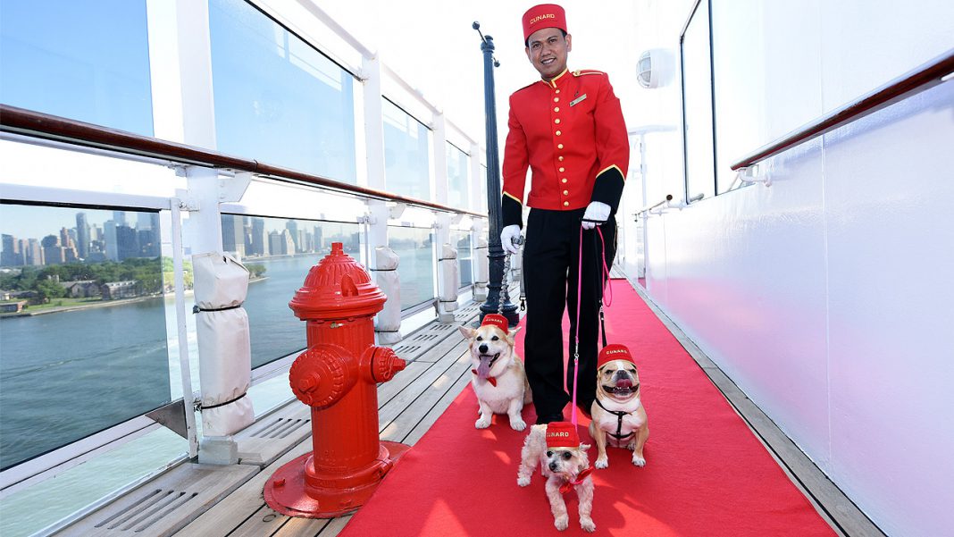 Kreuzfahrt mit Hund Wo Hunde mit aufs Schiff dürfen Hund