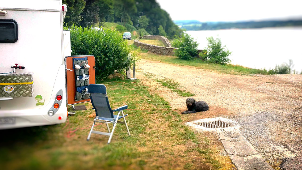 Camping mit Hund Was du über Campingreisen wissen solltest Reisetipp