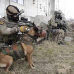 Bundesheer Militärhund