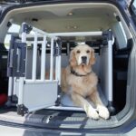 Hundetransportbox Auto ÖATMC Test