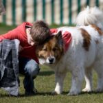 Hundeschulen Öffnung Protest in Deutschland