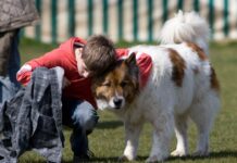 Hundeschulen Öffnung Protest in Deutschland