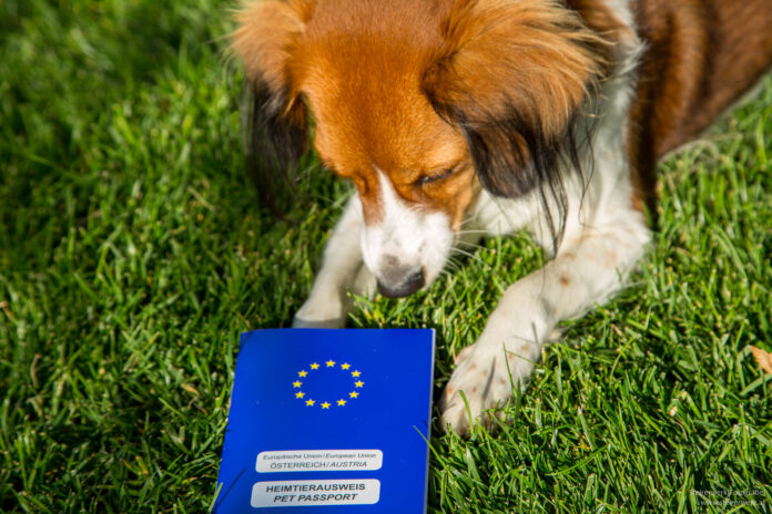 EU-Heimtierausweis für Hund