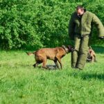 Tierschutzgesetz Schutzhunde