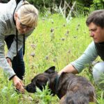 Giftpflanzen Spürhunde