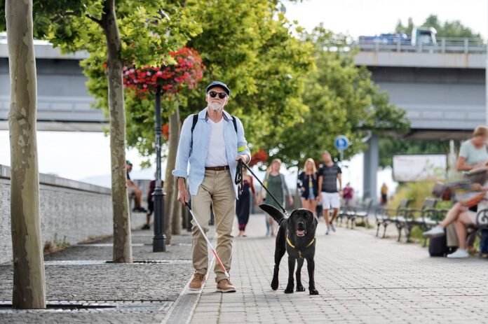 Assistenzhund führt blinden Mann